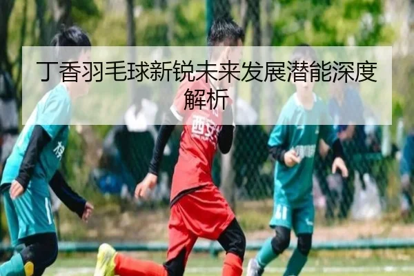 丁香羽毛球新锐未来发展潜能深度解析（hth.com）